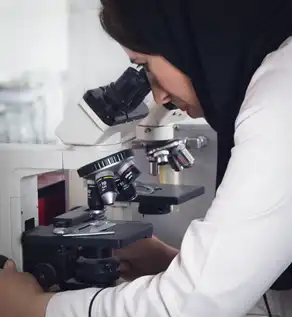 تحقیق و توسعه