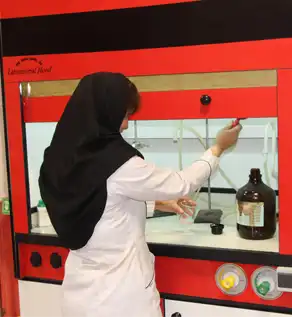 lab